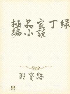 极品家丁绿帽改编小说