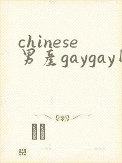 chinese男产gaygay网站