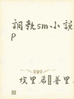 调教sm小说sp