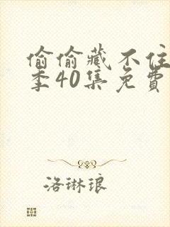 偷偷藏不住第二季40集免费