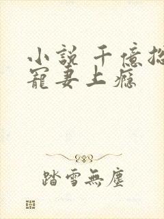 小说 千亿总裁宠妻上瘾