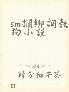sm捆绑调教母狗小说