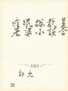 催眠总裁美母变老婆小说合法