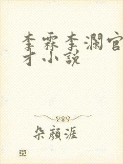 李霖李澜官场奇才小说