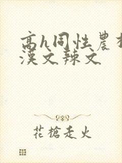 高h同性农村壮汉文辣文