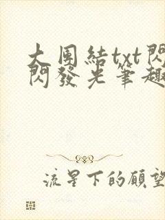 大团结txt闪闪发光笔趣阁