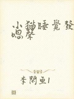小猫睡觉发出嗯嗯声封面