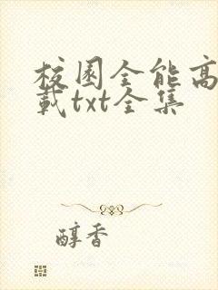 校园全能高手下载txt全集封面