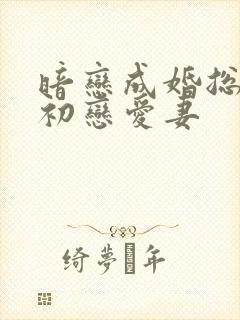 暗恋成婚总裁的初恋爱妻