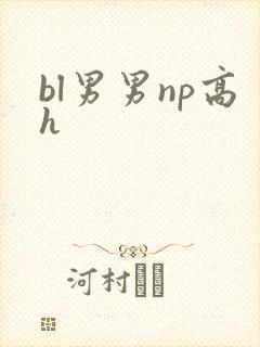 bl男男np高h封面