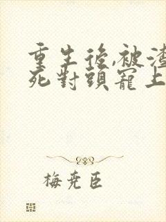 重生后,被渣男死对头宠上天网络小说