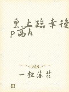 皇上临幸后宫np高h