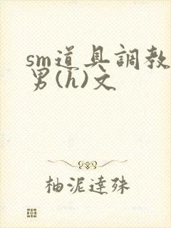 sm道具调教男男(h)文