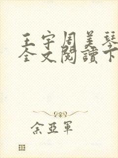 王宇周美琴小说全文阅读下载封面