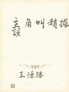 主角叫赵振的小说封面