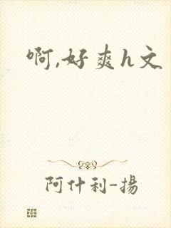 啊,好爽h文封面