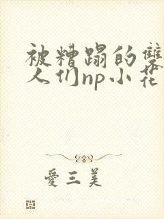 被糟蹋的双性美人们np小花猫