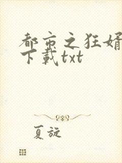 都市之狂婿战神下载txt