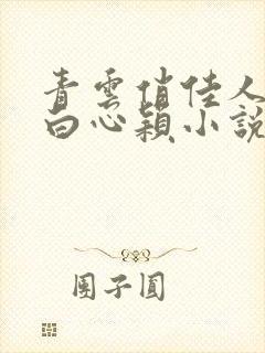 青云俏佳人李泽白心颖小说在线阅读全文封面