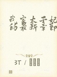 我家太子妃超凶的最新章节封面