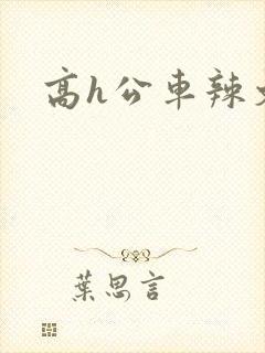 高h公车辣文