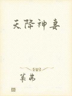 天降神妻封面