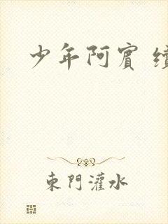 少年阿宾 续