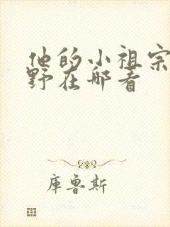 他的小祖宗甜又野在哪看