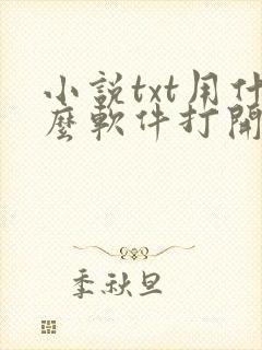 小说txt用什么软件打开比较好封面