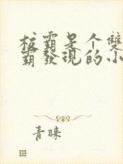校霸是个双被学霸发现的小说封面