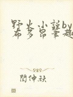 野火小说by夏布多昂笔趣阁