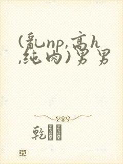 (乱np,高h,纯肉)男男