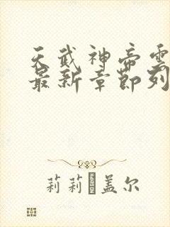 天武神帝云飞扬最新章节列表