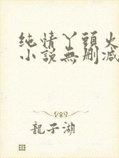 纯情丫头火辣辣小说无删减