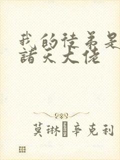我的徒弟是未来诸天大佬