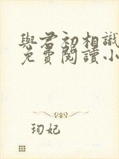 与君初相识全文免费阅读小说