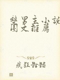 双男主小说娱乐圈文推荐封面