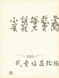 小说总裁爹地蜜蜜宠免费阅读