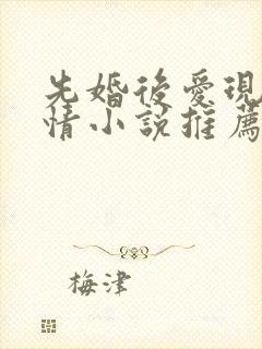 先婚后爱现代言情小说推荐