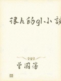 很h的gl小说