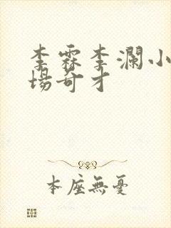 李霖李澜小说官场奇才