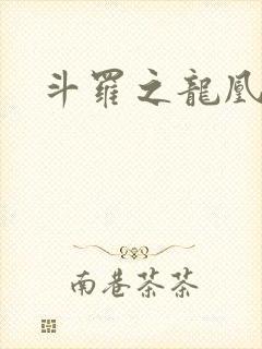 斗罗之龙凰传说封面