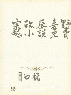 宗政辰秦野的穿越小说免费阅读