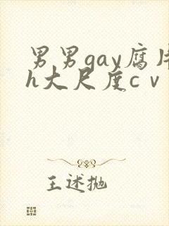 男男gay腐片h大尺度cⅴ小蓝