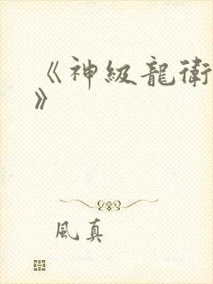 《神级龙卫沈浪》
