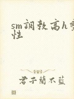 sm调教高h双性