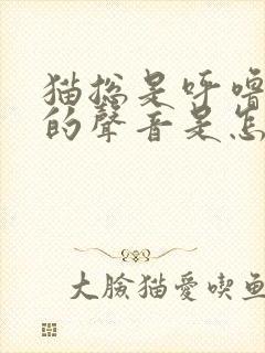 猫总是呼噜呼噜的声音是怎么回事