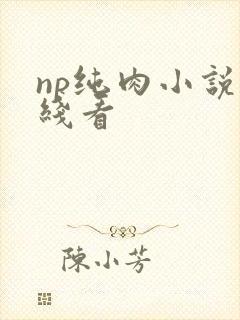 np纯肉小说在线看