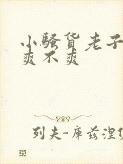 小骚货老子操你爽不爽封面