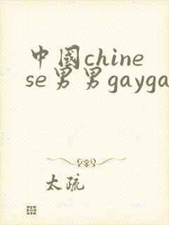 中国chinese男男gaygayvideo封面